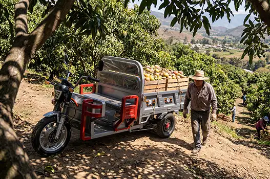 Electric Tricycle With EEC Certification: Meeting European Safety and Quality Standards